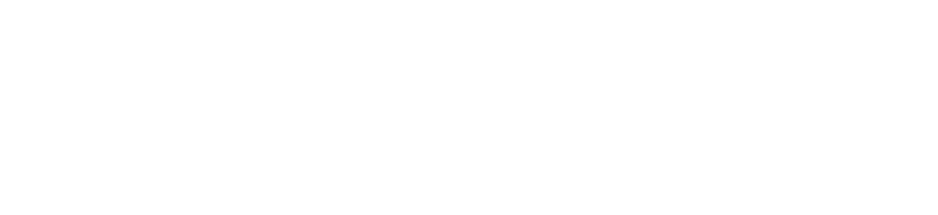 WordPress logo
